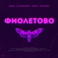 RASA - Фиолетово